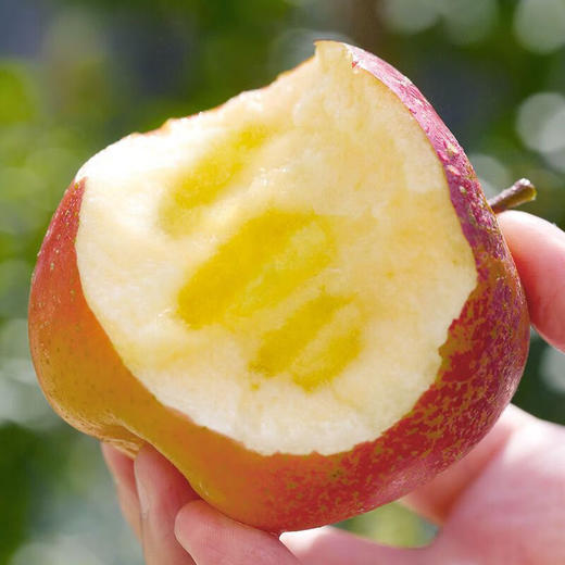 四川大凉山红露丑苹果 脆甜苹果当季水果 新鲜采摘 脆甜多汁 商品图6