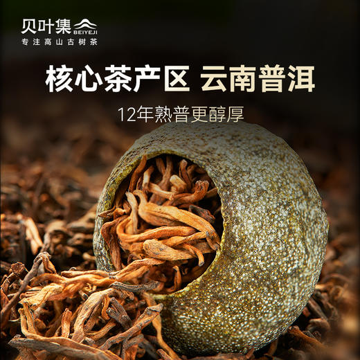 正宗新会果香小青柑12年陈皮勐海普洱熟茶叶直播大份量罐装 商品图2