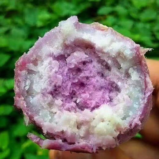 连州高山番薯冰淇淋紫薯 一点红 商品图4