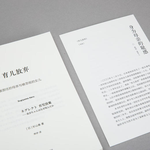 理想国纪实：育儿放弃 被困住的母亲与被忽视的女儿（日）杉山春 著 商品图1