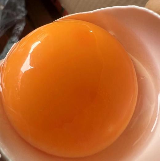 本地 散养土鸡蛋 （不吃饲料）（30枚） 商品图9