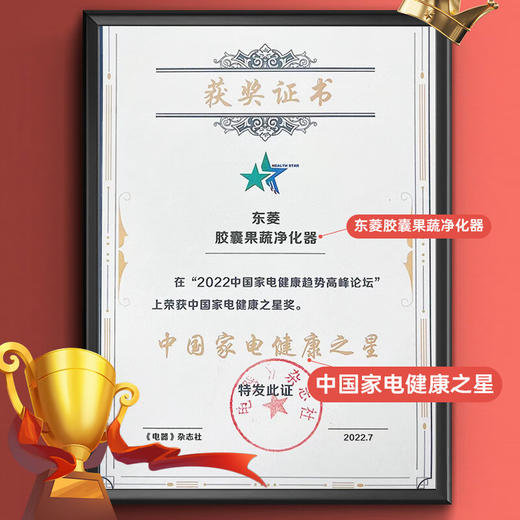 【行业爆款·除菌率99.9%】东菱(Donlim)胶囊果蔬清洗机家用洗菜机蔬菜水果食材净化机器去农残清洗机除菌神器 无线便携 DL-001 商品图3