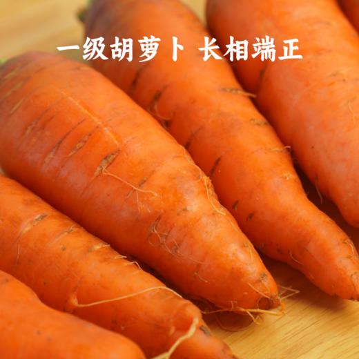 香畴 自然农法种植胡萝卜 4斤装包邮 商品图1