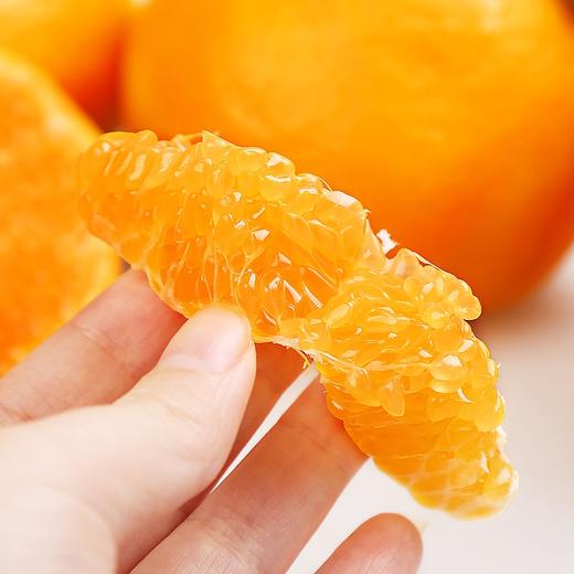 【软嫩多汁】春见·正宗晚采高糖耙耙柑「良枝柑路」 商品图3