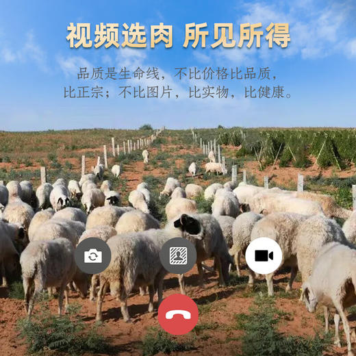 【盐池滩羊】新鲜现杀羊腿肉整只羔羊排肋排原切全羊 正宗宁夏盐池滩羊 半只 礼盒款 16斤 商品图6