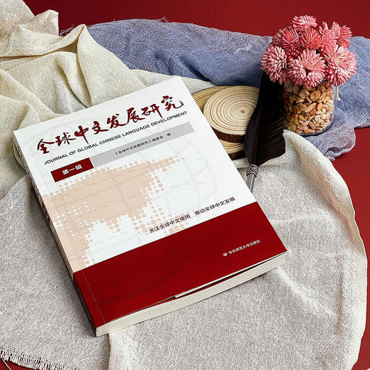 全球中文发展研究 第一辑 国际中文教育 商品图5