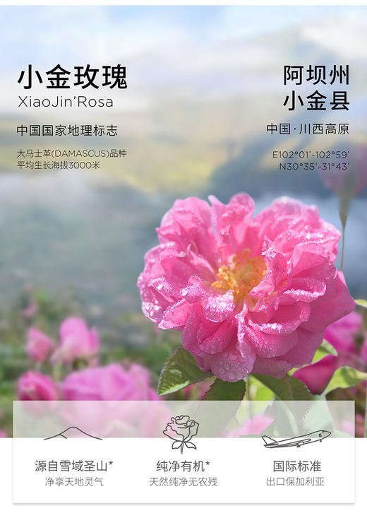 【限时买一送一】花觅记 高原小金玫瑰花冠茶 出口级别 商品图1