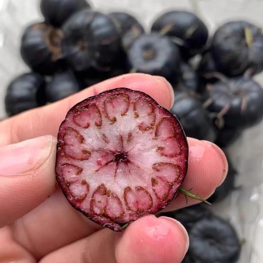 来自大山深处的美味——红果参，有果中人参的称号！花青素含量特别高！很奇特的口感，比蓝莓好吃，酸酸甜甜的，入口脆脆的，里面沙沙的！一定是吃一次就想回购的水果！中果，125克/盒 商品图2