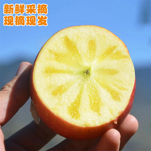 新疆阿克苏冰糖心苹果  新疆直发 顺丰陆运 商品图2
