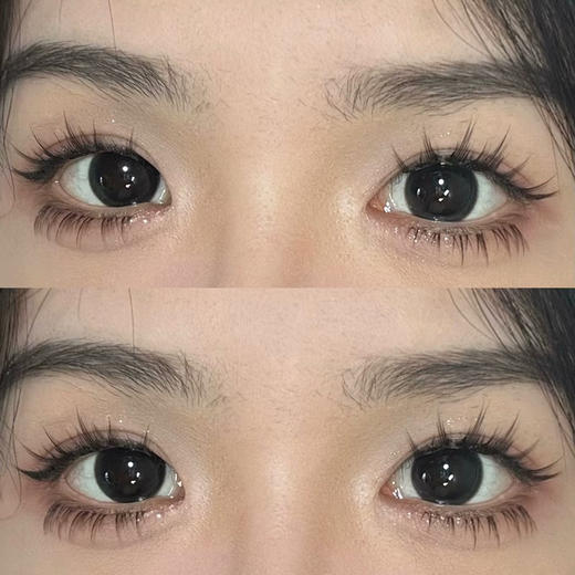 【中直径】SPRINGCON-漉漉黑14.2mm【0-800度 含525/575】 商品图1