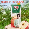 汇源100℅苹果汁 1L*12盒（后返2元） 商品缩略图1