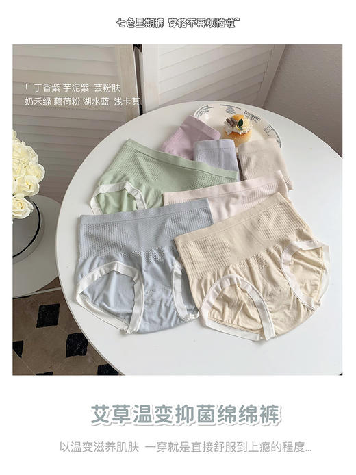 秋冬【7条礼盒装内裤】艾草温变裆中腰 无缝棉棉裤 商品图2