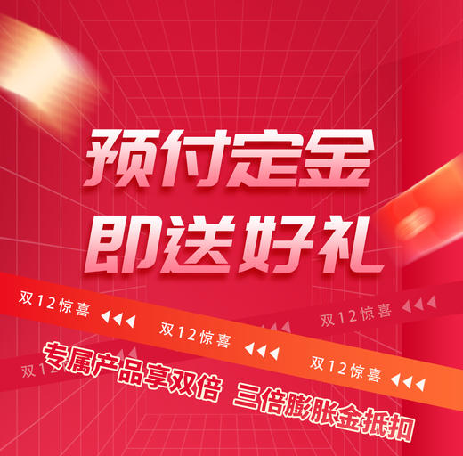 双十二100元定金 商品图0