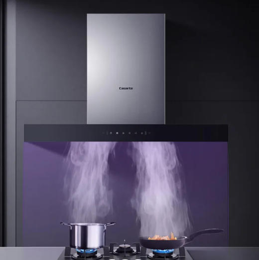 卡萨帝（Casarte）烟机 CXW-219-CGT90BG 商品图4