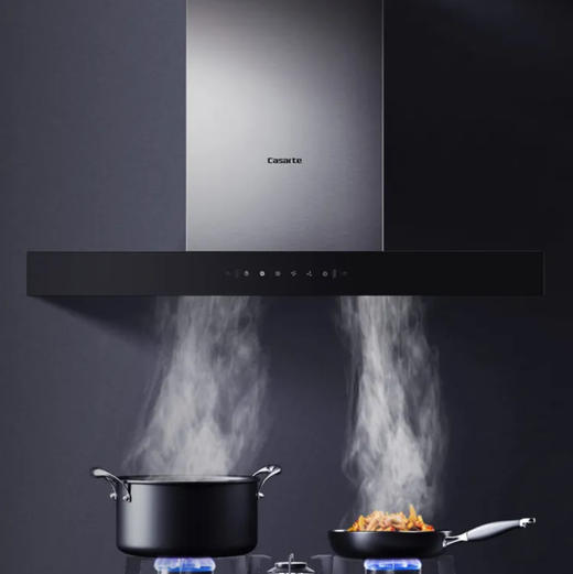 卡萨帝（Casarte）烟机 CXW-219-CGT90BG 商品图2