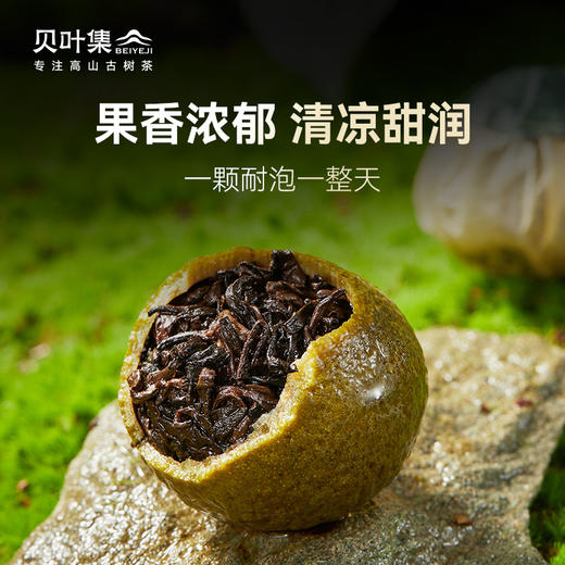 正宗新会果香小青柑12年陈皮勐海普洱熟茶叶直播大份量罐装 商品图4