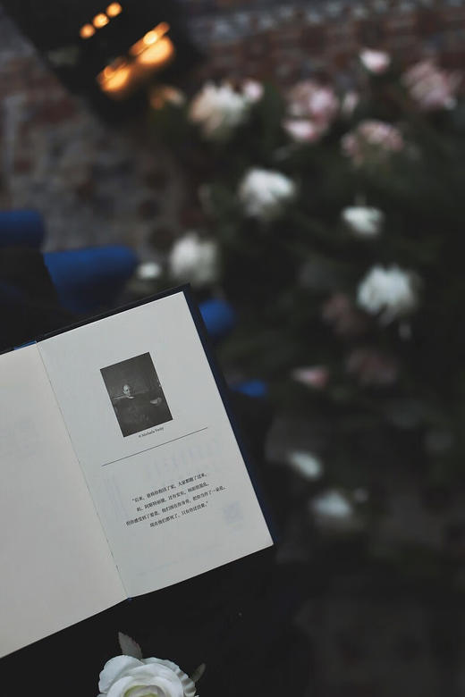 承诺（南非）达蒙·加尔格特 著 商品图7