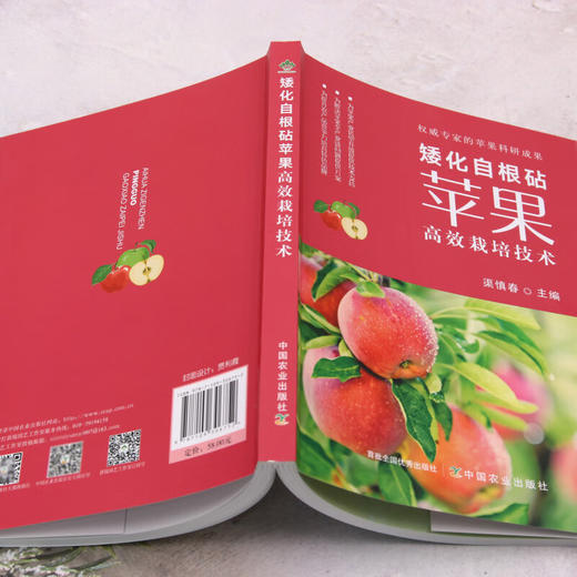 矮化自根砧苹果高效栽培技术【官方正版，可开发票，下单时留开票信息和电子邮箱】 商品图3