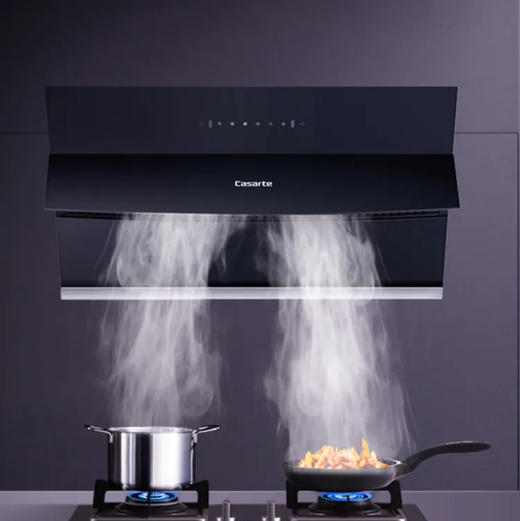 卡萨帝（Casarte）烟机 CXW-219-CGC90KG 商品图1