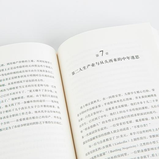 理想国纪实：夹缝生存 不堪重负的中产家庭（美）阿莉莎·夸特 著 商品图2