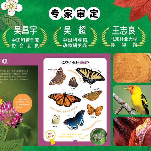 【点读版】自然探索小书包：全6册 商品图4