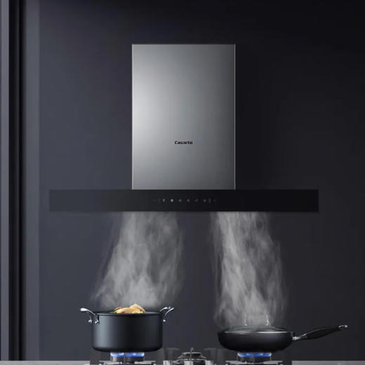 卡萨帝（Casarte）烟机 CXW-219-CGT90BG 商品图0