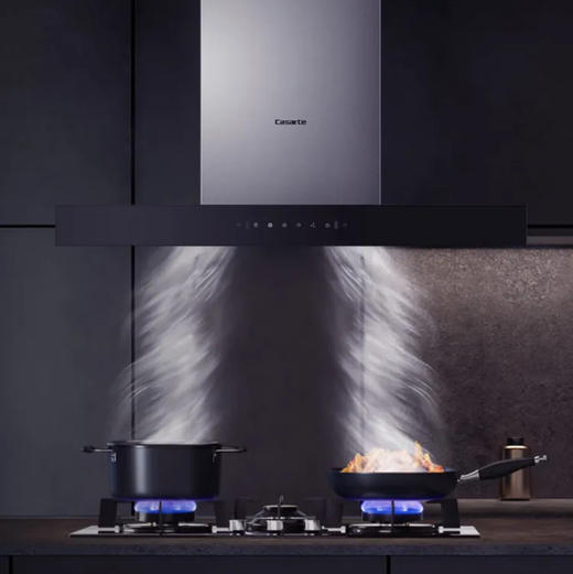 卡萨帝（Casarte）烟机 CXW-219-CGT90BG 商品图6