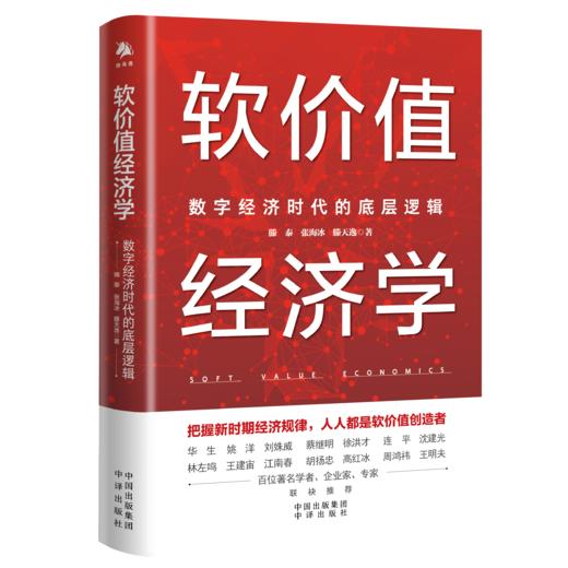 软价值经济学：数字经济时代的底层逻辑 把握新时期经济规律，人人都是软价值创造者 华生、姚洋、刘姝威、蔡继明、徐洪才、连平、沈建光、林左鸣、王建宙、江南春、胡扬忠、高红冰等百位学者、企业家等推荐 商品图2