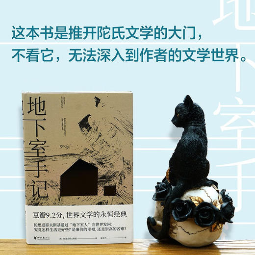 地下室手记（俄）陀思妥耶夫斯基 著 商品图1