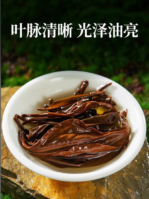 【2026年10月效期 特价清仓】云南滇红古树茶叶花果香清甜高档送礼春山野韵罐装 商品图3