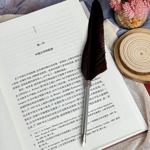 中国文字学手册 中国文字发展史简明版本 臧克和 精装 商品图7