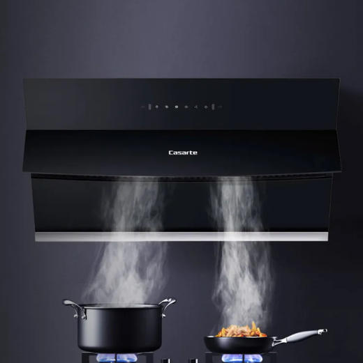 卡萨帝（Casarte）烟机 CXW-219-CGC90KG 商品图3