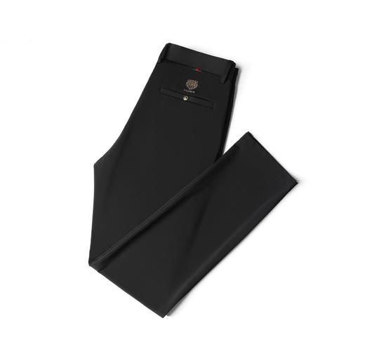 薄款弹力休闲裤男士夏季商务休闲虎头刺绣潮流直筒型百搭西裤 商品图4