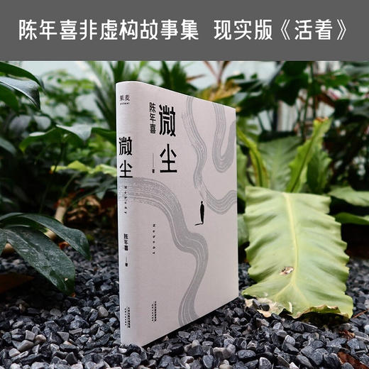 微尘  陈年喜非虚构故事集 商品图2