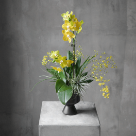 阳光峡谷 Sunshine Canyon