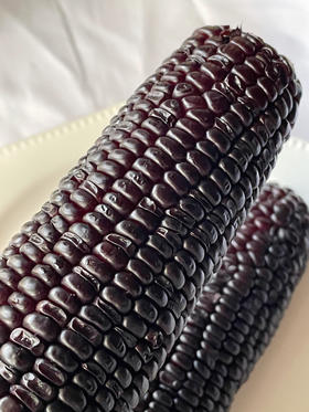 有机花青甜黑玉米｜农科院玉米所品种