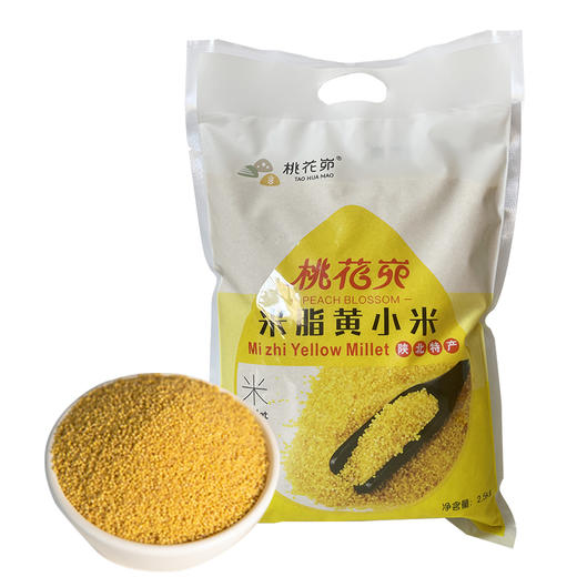 陕北米脂黄小米 商品图5