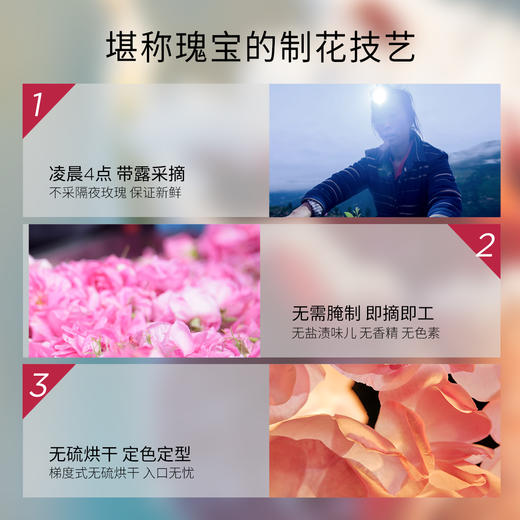 【限时买一送一】花觅记 高原小金玫瑰花冠茶 出口级别 商品图2