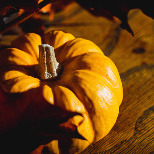 音昱听堂意膳坊感恩节·特供套餐 商品图0