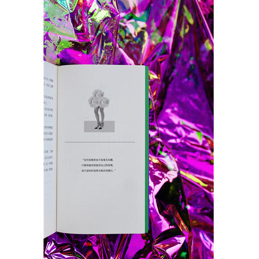 两位严肃女士（美）简·鲍尔斯 著 商品图2