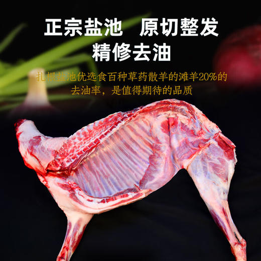 【盐池滩羊】新鲜现杀羊腿肉整只羔羊排肋排原切全羊 正宗宁夏盐池滩羊 半只 礼盒款 16斤 商品图3