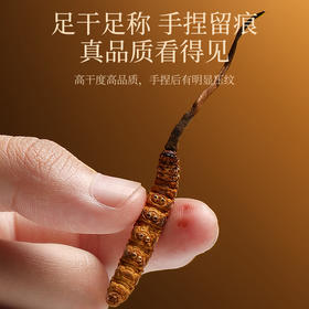 严选 | 杞里香冬虫夏草 10根 高原完整虫草 人工手选根根完整 泡茶泡酒煲汤