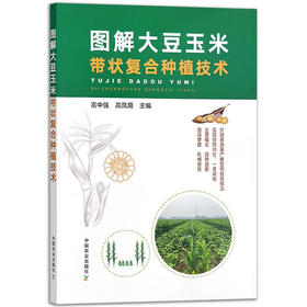 图解大豆玉米带状复合种植技术 大豆玉米种植技术书籍 正版保证【官方正版，可开发票，下单时留开票信息和电子邮箱】