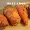 香畴 自然农法种植胡萝卜 4斤装包邮 商品缩略图2