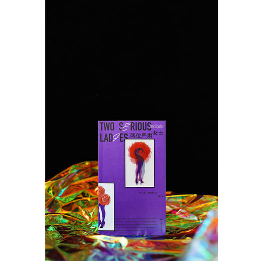 两位严肃女士（美）简·鲍尔斯 著 商品图1