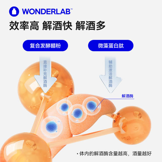 【跨境保税仓直发】万益蓝 WonderLab 独醒解酒药醒酒胶囊，酒前酒后职场应酬过节聚餐必备，呵护护肝保养肠胃 商品图4