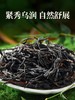 【2026年10月效期 特价清仓】云南滇红古树茶叶花果香清甜高档送礼春山野韵罐装 商品缩略图2