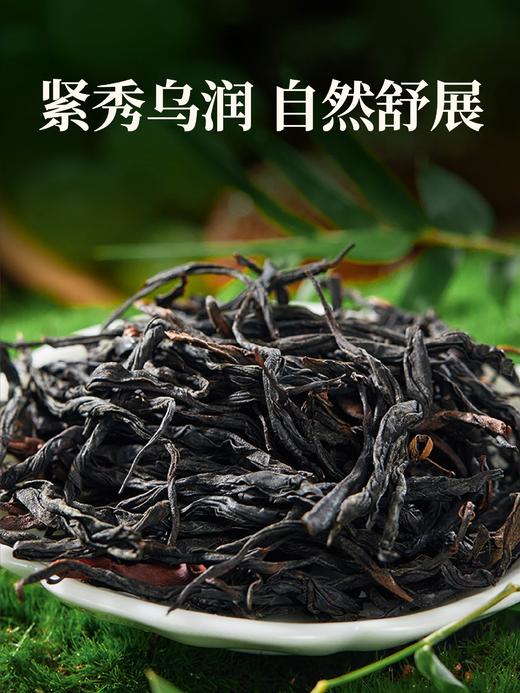 【2026年10月效期 特价清仓】云南滇红古树茶叶花果香清甜高档送礼春山野韵罐装 商品图2