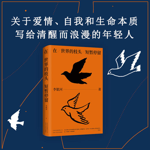 李银河：在世界的枝头短暂停留 商品图2