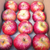 四川大凉山红露丑苹果 脆甜苹果当季水果 新鲜采摘 脆甜多汁 商品缩略图5